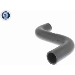  radiatoriaus žarna <small>Q+, original equipment manufacturer quality</small>