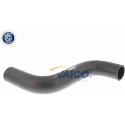  radiatoriaus žarna <small>Q+, original equipment manufacturer quality</small>