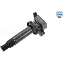  ritė, uždegimas <small>MEYLE-ORIGINAL: True to OE.</small>