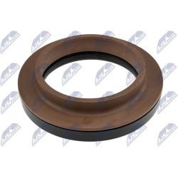  frikcinis guolis, pakabos statramsčio atramos montavimas