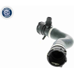  radiatoriaus žarna <small>Q+, original equipment manufacturer quality</small>