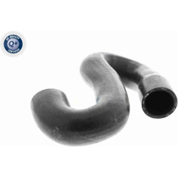  radiatoriaus žarna <small>Original VAICO Quality</small>