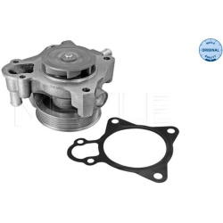  Vandens siurblys, variklio aušinimas <small>MEYLE-ORIGINAL: True to OE.</small>