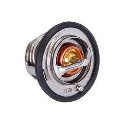  termostatas, aušinimo skystis