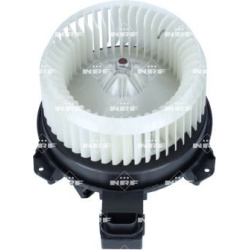 vidaus pūtiklis  vidaus pūtiklis