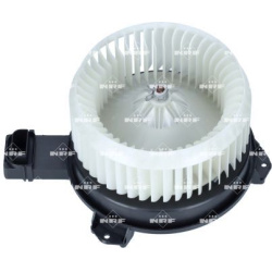 vidaus pūtiklis  vidaus pūtiklis