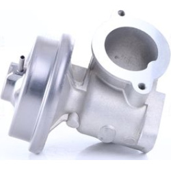  ERG vožtuvas <small>** FIRST FIT **</small>