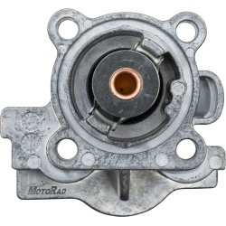  termostatas, aušinimo skystis