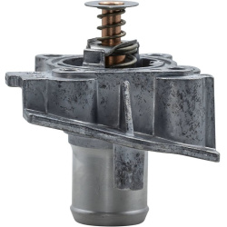  termostatas, aušinimo skystis