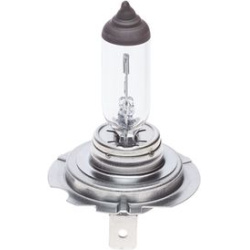  lemputė, priekinis žibintas <small>Pure Light WS</small>