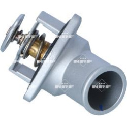  termostatas, aušinimo skystis