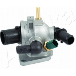  termostatas, aušinimo skystis