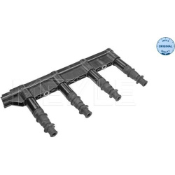  ritė, uždegimas <small>MEYLE-ORIGINAL: True to OE.</small>