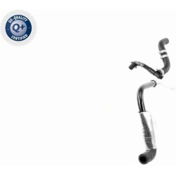  vakuumo žarna, stabdymo įrenginys <small>Q+, original equipment manufacturer quality</small>