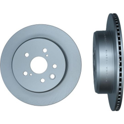  stabdžių diskas (1vnt)