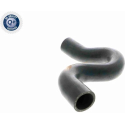  radiatoriaus žarna <small>Q+, original equipment manufacturer quality</small>