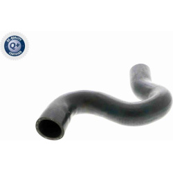  radiatoriaus žarna <small>Q+, original equipment manufacturer quality</small>