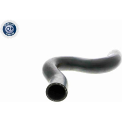  radiatoriaus žarna <small>Q+, original equipment manufacturer quality</small>
