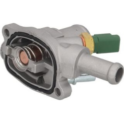  termostatas, aušinimo skystis