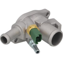  termostatas, aušinimo skystis