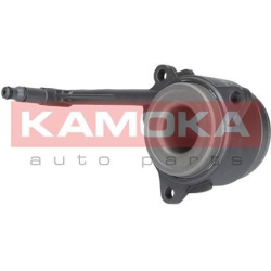  centrinis darbinis cilindras, sankaba