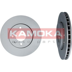  stabdžių diskas (1vnt)