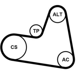  V formos rumbuotas diržas, komplektas
