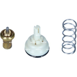  termostatas, aušinimo skystis