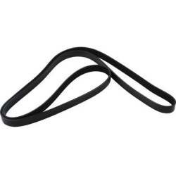  V formos rumbuoti diržai <small>JP</small>