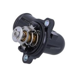  termostatas, aušinimo skystis