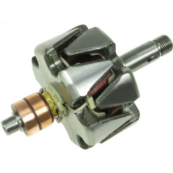  rotorius, kintamosios srovės generatorius <small>AS</small>