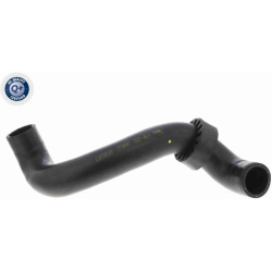  radiatoriaus žarna <small>Q+, original equipment manufacturer quality</small>