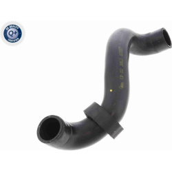  radiatoriaus žarna <small>Q+, original equipment manufacturer quality</small>