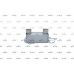  alyvos aušintuvas, variklio alyva