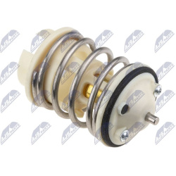  termostatas, aušinimo skystis