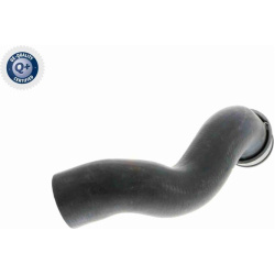  radiatoriaus žarna <small>Original VAICO Quality</small>