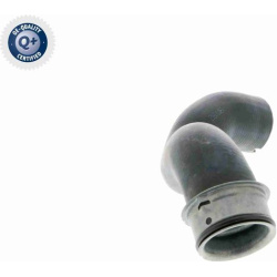  radiatoriaus žarna <small>Original VAICO Quality</small>