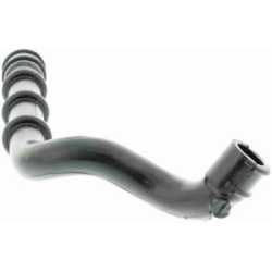  žarna, karterio alsuoklis <small>Original VAICO Quality</small>