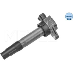  ritė, uždegimas <small>MEYLE-ORIGINAL: True to OE.</small>