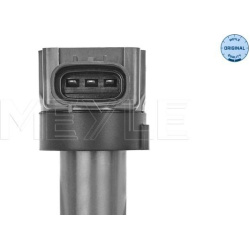  ritė, uždegimas <small>MEYLE-ORIGINAL: True to OE.</small>