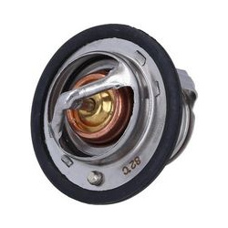  termostatas, aušinimo skystis