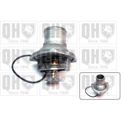  termostatas, aušinimo skystis