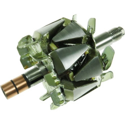  rotorius, kintamosios srovės generatorius <small>AS</small>