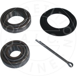  rato guolis <small>Original AIC Quality</small>