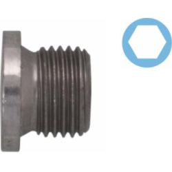  alyvos išleidimo kaištis, alyvos karteris