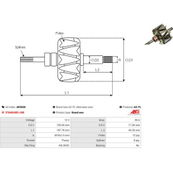  rotorius, kintamosios srovės generatorius <small>AS</small>