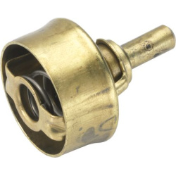  termostatas, aušinimo skystis