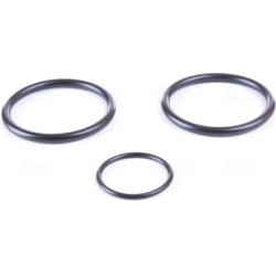  radiatorius, variklio aušinimas <small>** FIRST FIT **</small>