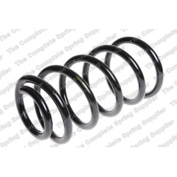 spyruoklė  spyruoklė