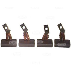  anglies šepetėlis, starteris